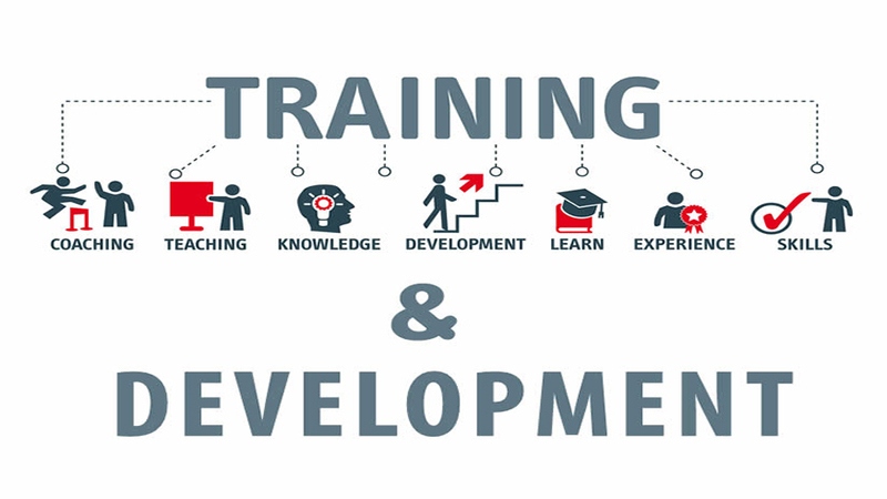 Training là gì? Các hình thức training trong doanh nghiệp